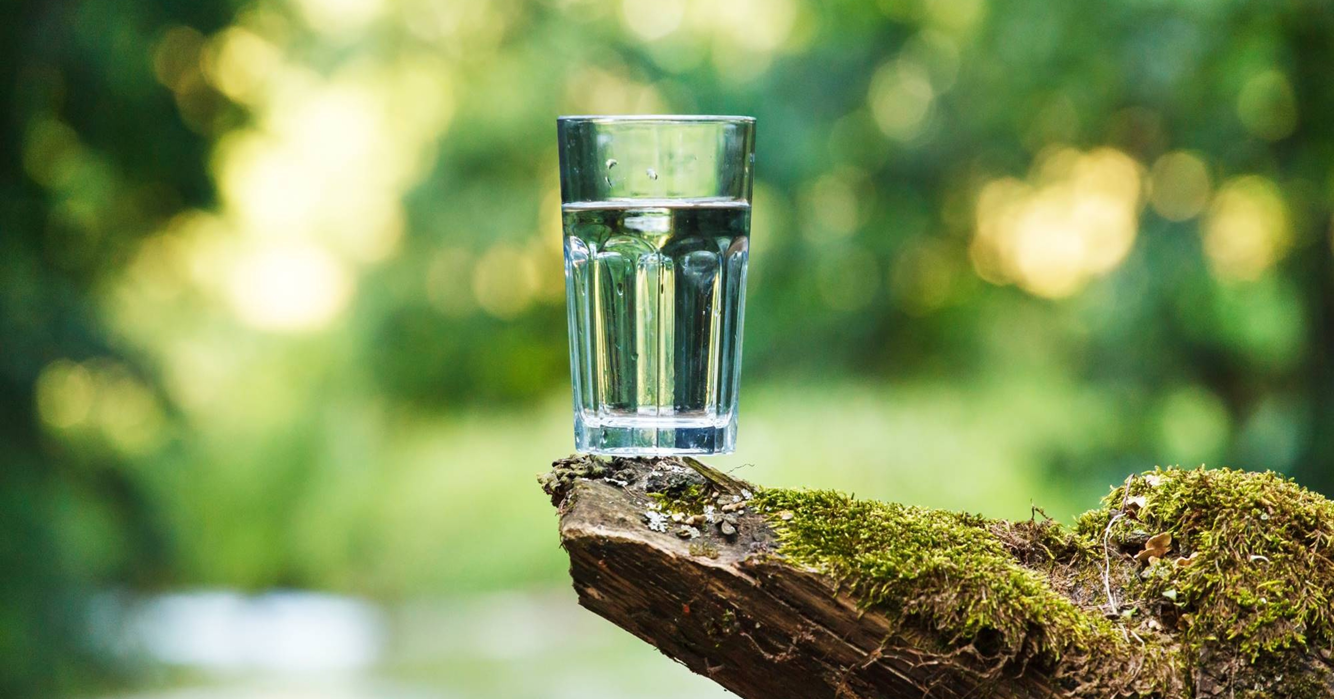一杯水在自然