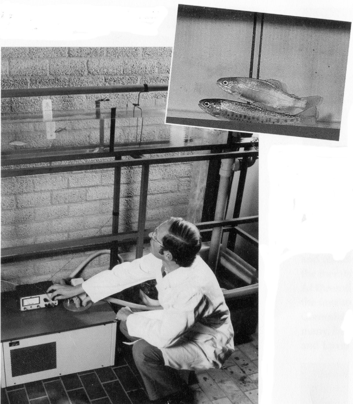 Biological monitoring system.jpg