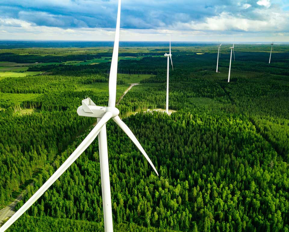 open plan of a forest with wind turbine generators
