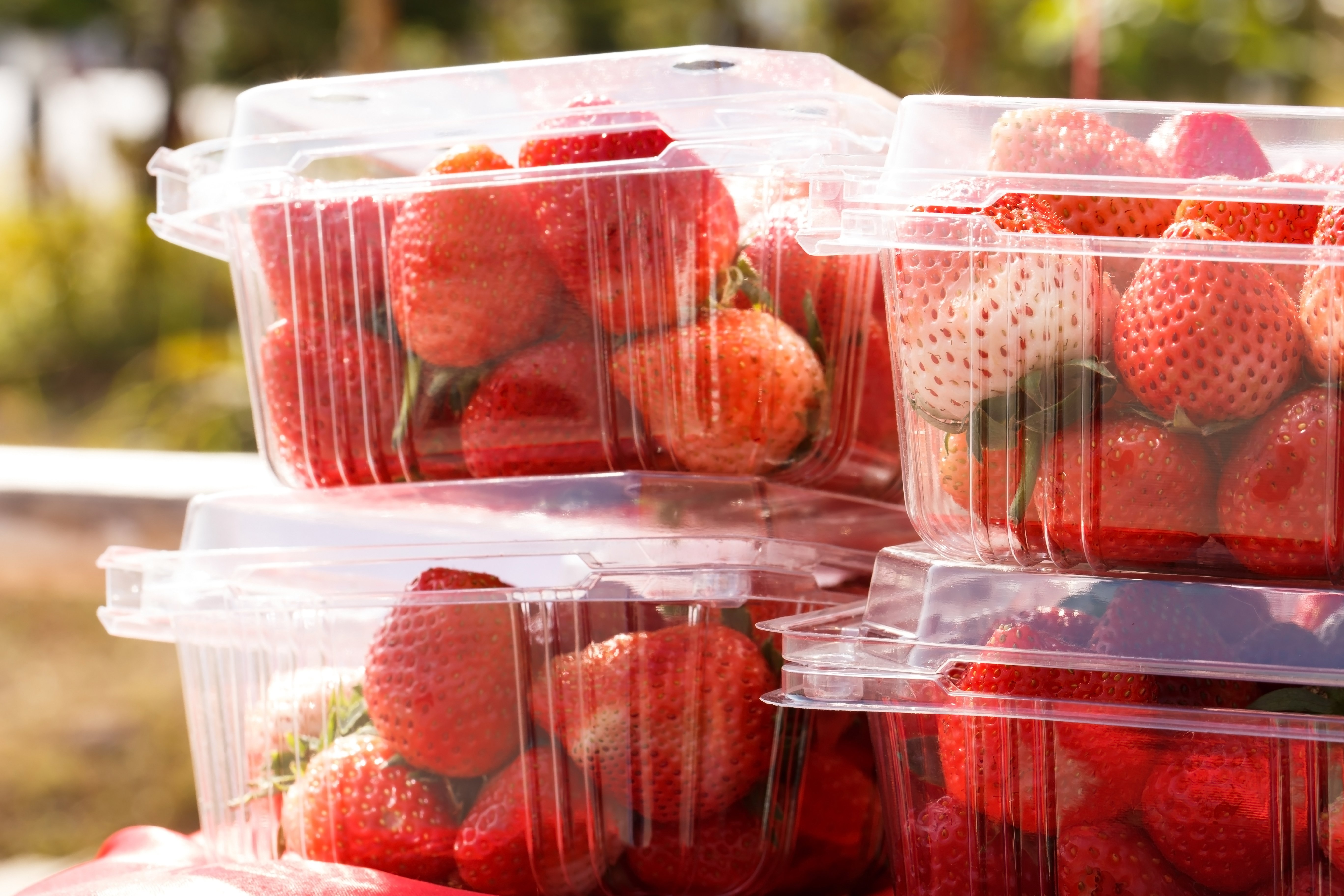 Fresh strawberries in clear plastic containers stacked outdoors