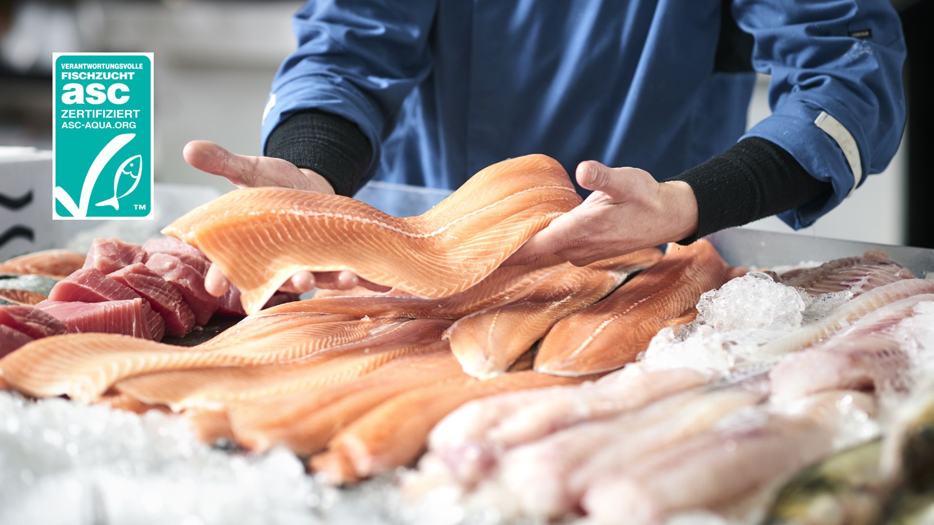 ASC certified salmon filets by Kiwa