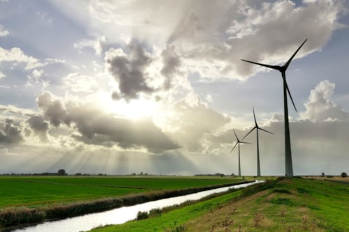 open sunny field with three wind turbines next to a canal