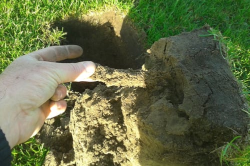 Grasonderhoud met holle pen | Kiwa ISA Sport