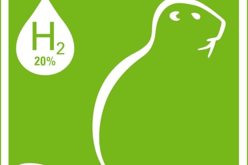 Kiwa tested logo indicating 20% hydrogen readiness, featuring a green beaver silhouette and a hydrogen (H2) drop symbol