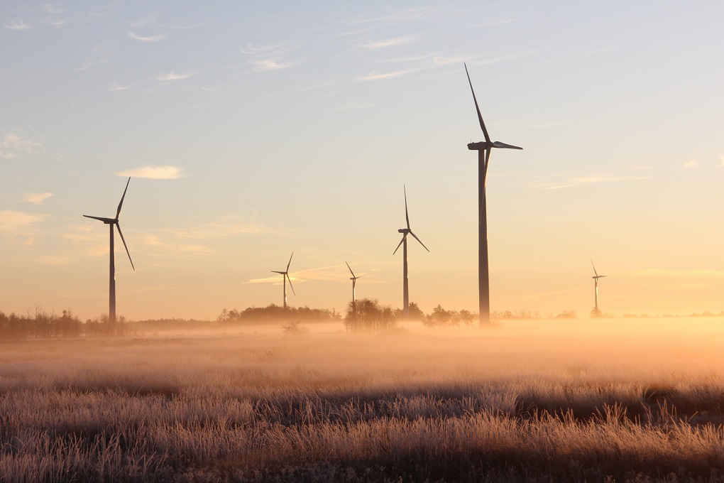 misty dry grass field with wind turbines